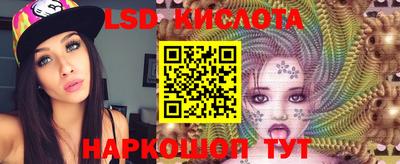 гашик Новозыбков