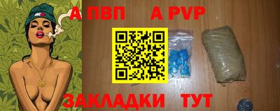 гашик Новозыбков
