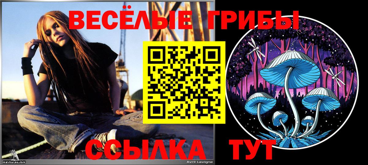 Галлюциногенные грибы ЛСД Отрадное