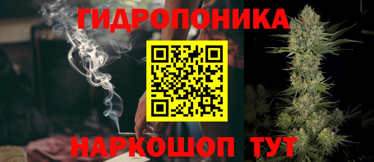 Шишки марихуана Ganja Отрадное